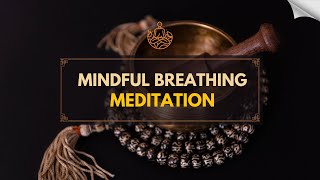 Mindful Breathing Meditation [upl. by Jilly]