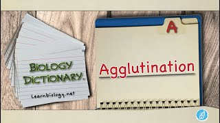 Agglutination  Biology Dictionary  Spoken Biology Definitions [upl. by Edrei]