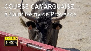 COURSE CAMARGUAISE  Patrimoine de la Provence  1080HD [upl. by Ephraim373]