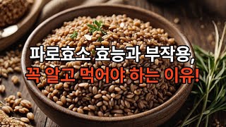 파로효소 효능과 부작용 제대로 알고 드셔야 해요 [upl. by Aprilette]