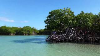 Gilligans Island  Guanica Puerto Rico [upl. by Adriel]