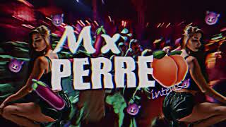 MIX PERREO INTENSO🔥😈tego calderon plan b ben bailalo baila morena Dj k3nd4za💥 [upl. by Eentroc]