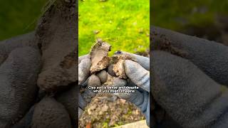 2 Easy Steps to Improve Clay Soil [upl. by Rex]