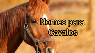 Nome para cavalos e éguas [upl. by Benilda]