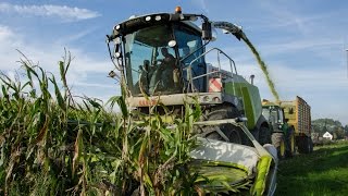 Maisernte 2014 mit LU Frerk Francksen  Fendt  Claas  John Deere  Bergmann [upl. by Oinota]