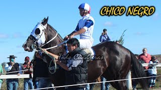 CHICO NEGRO  GRAN CLÁSICO INTERNACIONAL  Las Garzas 040617 [upl. by Gavan]