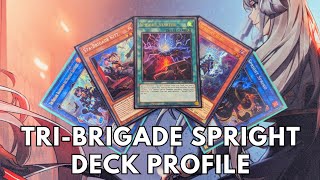 Competitive TriBrigade Spright deck profile January 2024 TCG Yugioh [upl. by Marika]