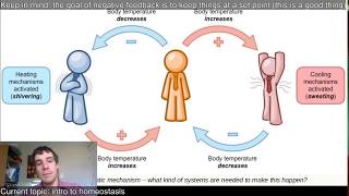 SBI4U 41 Intro to homeostasis [upl. by Merriott560]