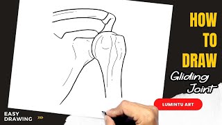 How to draw Gliding Joint [upl. by Aileme91]