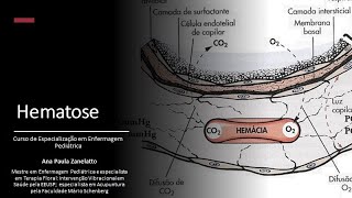 Hematose  peculiaridades na pediatria [upl. by Mairam]