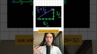 A quick explanation to understand Vectors igcse study maths vectors mathtips [upl. by Anilat]