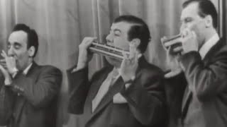 The Harmonicats quotPeg O My Heartquot on The Ed Sullivan Show [upl. by Acemat192]