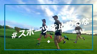 【城西大学】男子駅伝部 スポーツを止めるな [upl. by Einaj781]