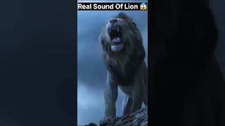 This Is Real Animal Sounds 😱 shorts factshorts factsmine factoholic factsdastan [upl. by Ettelrats]