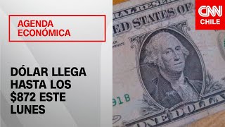 Dólar llegó a los 872 este lunes ¿Cómo proyecta el mercado sus variaciones  Agenda Económica [upl. by Darach]