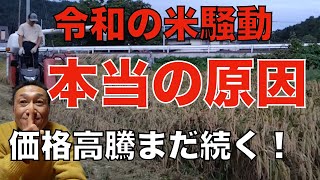 令和の米騒動【米不足の本当の原因】まだまだ価格高騰は続くのか？ [upl. by Atinus]