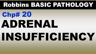 Ch20  ADRENAL Insufficiency  Endocrine Pathology  Dr Asif Lectures [upl. by Michale]