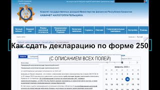 Как отзывать или удалить декларацию 250 или 270 250 немесе 270 декларацияны түзету немесе жою [upl. by Oirottiv]