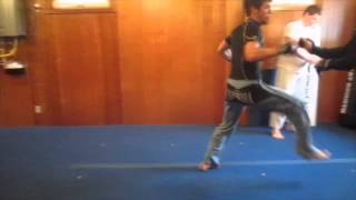 BaGuaZhang sparring application [upl. by Yadroc]