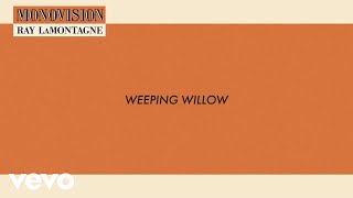 Ray LaMontagne  Weeping Willow Lyric Video [upl. by Nim128]