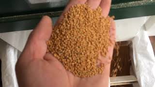 Winnowing machine ISM5 th  millet seed cleaning and sorting [upl. by Enait]