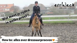 HOW TO alles over de dressuurproeven B tm Z  38  Epplejeck [upl. by Nahshon207]