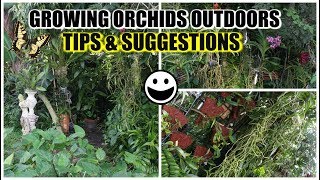 Methods amp Techniques for Outdoor Orchid  Plant Growing amp Creating Micro Climate amp Environment [upl. by Ylebmik]