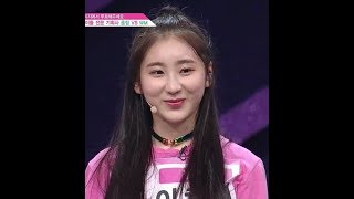 IZONE LEE CHAEYEON PROFILE [upl. by Peedus395]