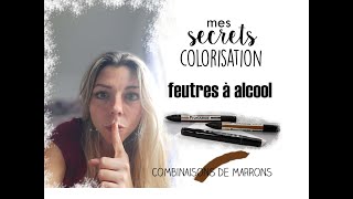 MES SECRETS COLORISATION ✏️ Feutres à alcool  combinaisons de marrons [upl. by Chilson677]