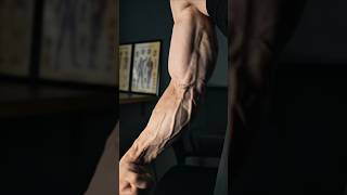 Big and wider forearms at home in 7day forearms forearmworkout aesthetic armworkout shortsvideo [upl. by Oalsinatse853]