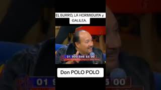 La hormiga de BIG brother saulbabyface humor tiktok comedia eneljale polopolo bigbrother [upl. by Haila667]