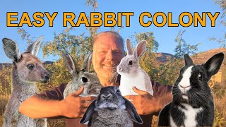 Raising Colony Rabbits The Easy Way [upl. by Bijan]