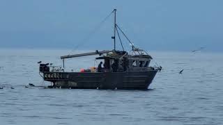 Crab Boat Working [upl. by Luebke]