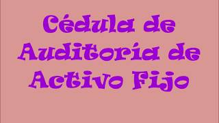 Auditoría de Activo Fijo [upl. by Fredia]