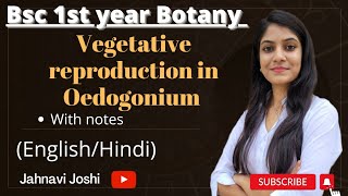 Oedogonium Vegetative reproduction Notes Bsc 1st year Botany [upl. by Yddet]