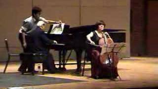 Brahms Cello Sonata No1 1st [upl. by Mortie]