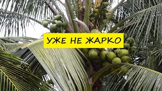 Вьетнам Нячанг погода сегодня 17 октября 2024 года ❤️ Не жарко и комфортно [upl. by Jamil]