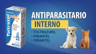 Toltrazol Plus antiparasitario para cachorros y razas pequeñas [upl. by Baelbeer]