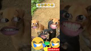 Comedy WhatsApp video 😂😂bhootvideosbhootvideoshamemaloomironmanwalafunnyvideofunnyshort2024 [upl. by Eirolav]