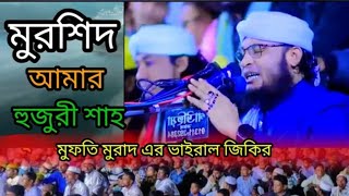 মুরশিদ আমার হুজুরী শাহ কি মহিমা জানে। ভাইরাল জিকির। মুফতি মুরাদ জিকির [upl. by Gillespie930]