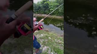 Catching peacock bass in Florida city Gabe’s 1st fish freshwaterfish swflfish fish peacockbass [upl. by Nahtnaoj]