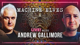 How DMT DEFIES Reality with Andrew Gallimore [upl. by Aseiram876]