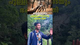 കടുവയുടെയും പുലിയുടെയും ഭക്ഷണരീതി  Periyar Tiger Reserve  shorts [upl. by Ddat]