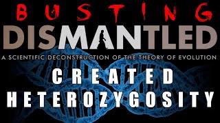 Created Heterozygosity Busting Dismantled 4 [upl. by Eppesiug]