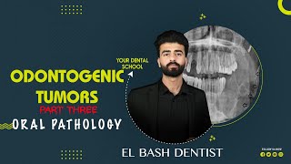 odontogenic tumors 3  last part  oral pathology  عزت شومان [upl. by Tuchman141]