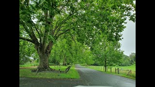 Paynesville amp Raymond Island Gippsland  Victoria Australia [upl. by Annail]