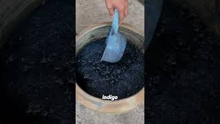 How Indigo Dye Was Made Before Synthetic Colors [upl. by Gnanmas]