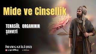 Tenasül Organının Şehveti  İmam Gazalî Hz  Sesli Kitap [upl. by Barrus]