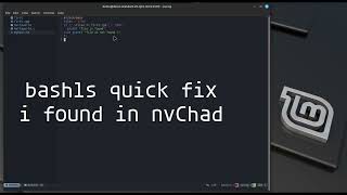 bash lsp quick fix nvChad local servers linuxmint nvchad [upl. by Frederica312]