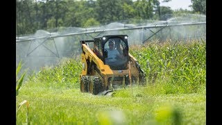 CAT® Skid Steer Comparison  246D3 vs 242D3  Which one is best suited for your needs [upl. by Harlene682]